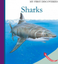 Image of Sharks