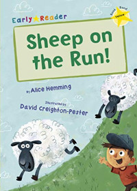 Sheep on the run!