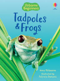 Tadpoles and frogs
