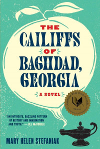 The cailiffs of Baghdad, Georgia: a novel