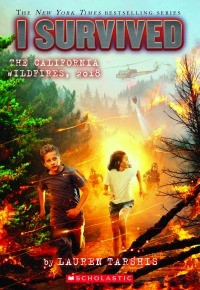 The California wildfires, 2018