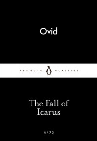 Image of The fall of icarus