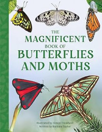 Image of The magnificent book of butterflies and moths
