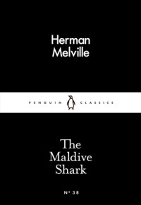 Image of The Maldive shark