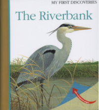 Image of The riverbank