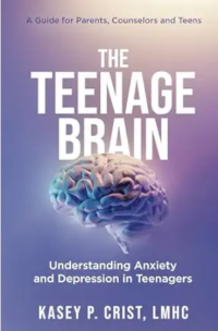 Image of The teenage brain: understanding