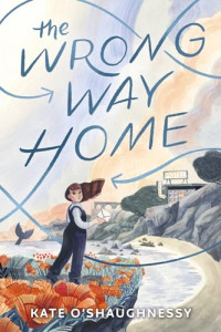 Image of The wrong way home
