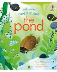 Image of Usborne peep inside the pond