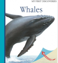 Image of Whales