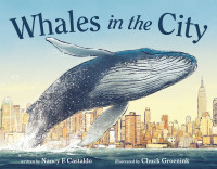 Whales in the city