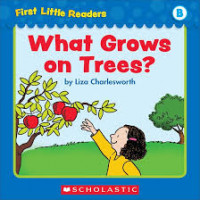 What grows on trees?