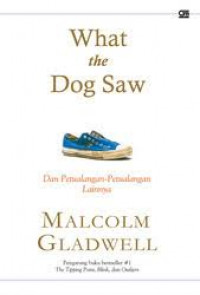 Image of What the dog saw