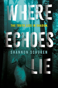 Image of Where echoes lie: the truth hides in shadow