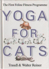 Image of Yoga for cats