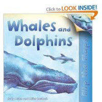 Dolphins