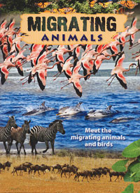 Image of Migrating Animals : Meet the Migrating Animals and Birds