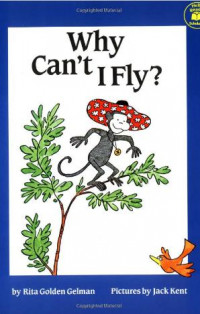 Why Can't I Fly?